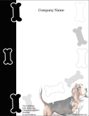Basset Hound