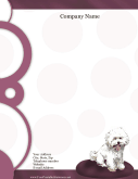 Bichon Frise