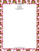 Bright Poinsettias