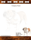 Bulldog
