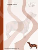Dachshund
