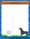 Doberman