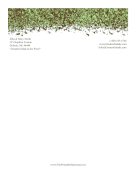 Hedge Leaves stationery design