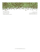 Hedge Leaves
