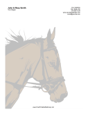 Horse Sunset