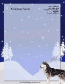 Siberian Husky