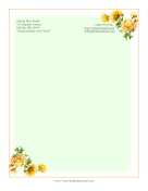 Yellow Chrysanthemums